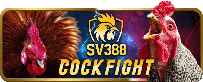 Chiến lược chơi slot game fc888